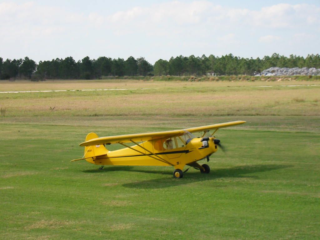 Piper J-3 Cub 40% by TMP
