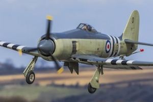  Sea Fury by Mick Burrell 1
