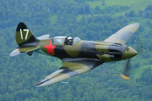 Browse Mikoyan-Gurevich MiG-3 – 1/4 Scale - Jerry Bates