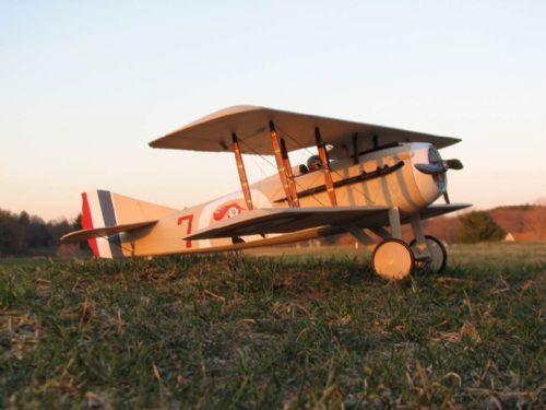 Spad 13 electric scale - Available in 2 sizes