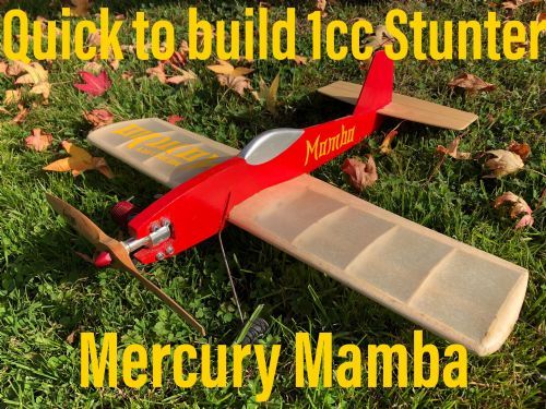 Mercury Mamba 19" CL Stunter