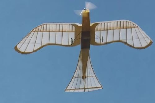 Taube Parts Set - Ziroli