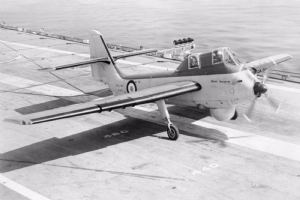 Browse Short Seamew By Jerry Bates