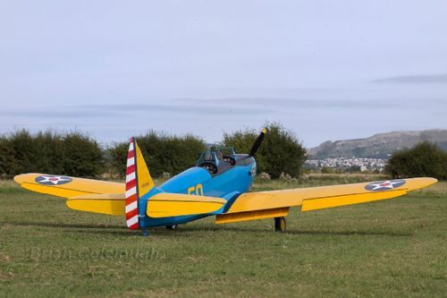 Fairchild PT-19 - Parts Set by Hostetler