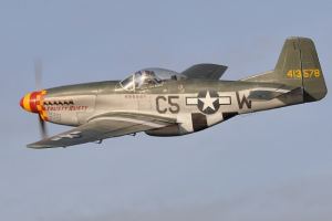 P-51 Mustang D or B variants Parts Set by Ziroli