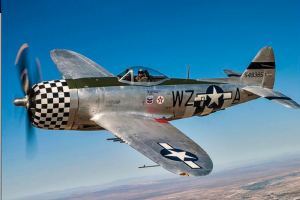 P47 Thunderbolt - Ziroli - 70 inch Parts Set