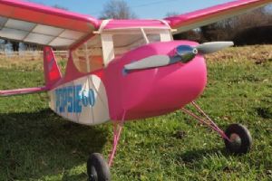 Browse Popsie 60 cabin model