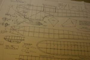 Browse California Champ