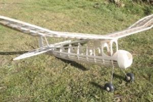 Browse Brooklyn Dodger