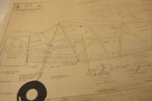 Browse 200% 84 inch Ladybird