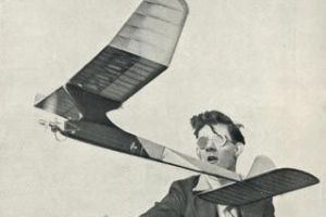 Browse Jaded Maid pylon power