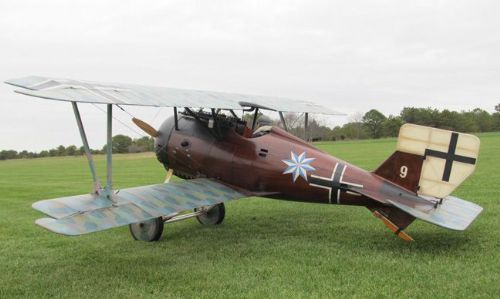 Siemens SSW-D.III 1/3rd scale