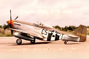 Browse P-51 Mustang Parts & Plans Set by Dave Platt