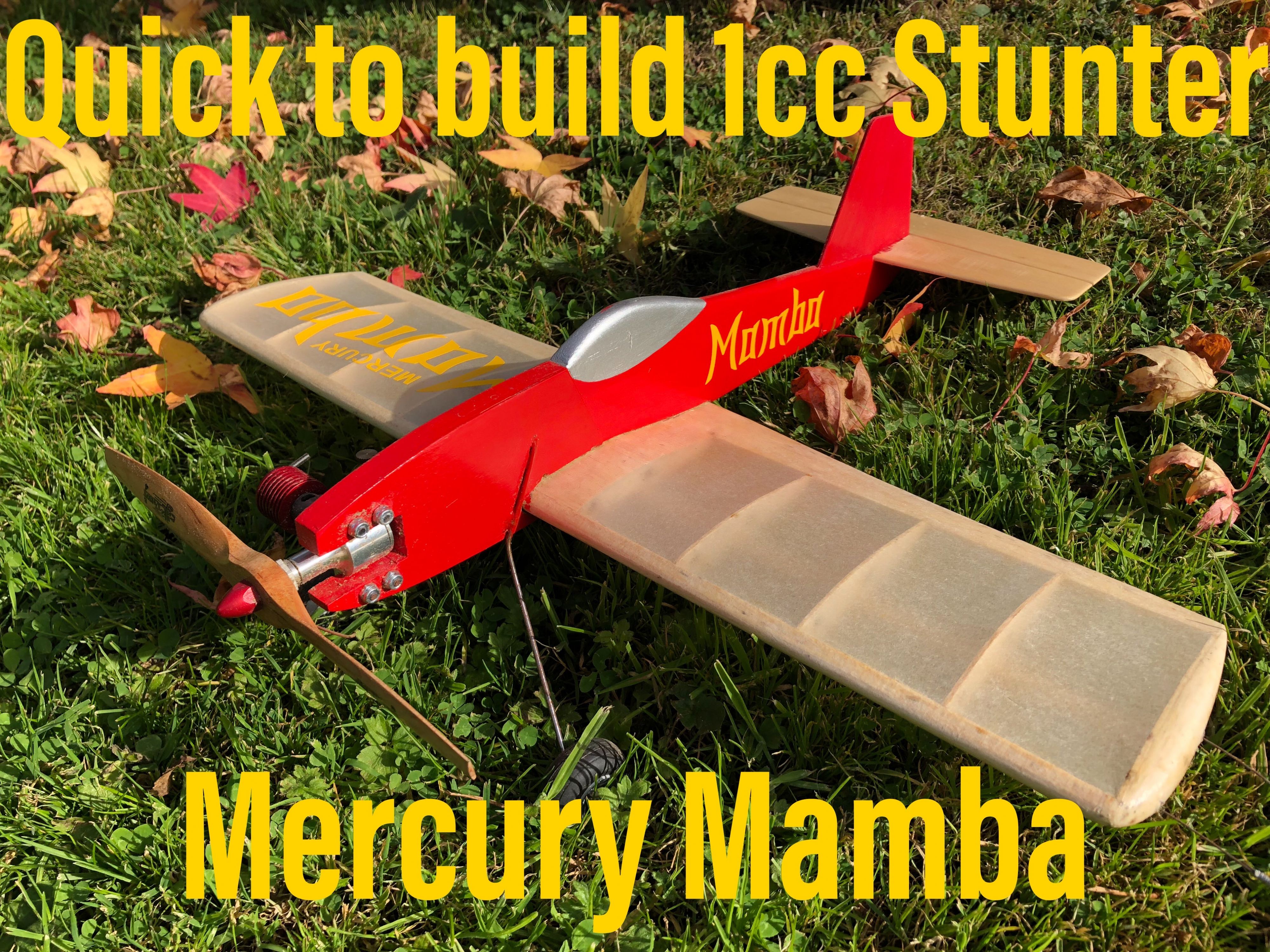 Mercury Mamba 19