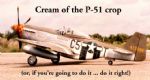 P-51 Mustang Parts & Plans Set by Dave Platt