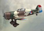Fokker D21 by J Bates - 2 scales